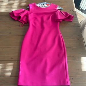 Ted Baker Size 0 pink formal dress